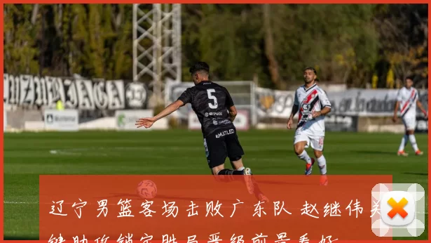 辽宁男篮客场击败广东队 赵继伟关键助攻锁定胜局晋级前景看好