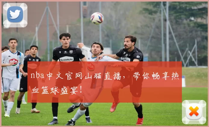 nba中文官网山猫直播，带你畅享热血篮球盛宴！