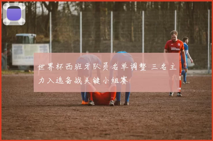 世界杯西班牙队员名单调整 三名主力入选备战关键小组赛