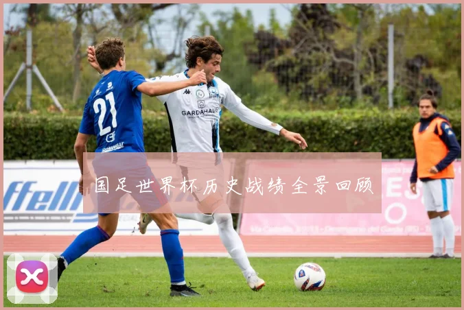 国足世界杯历史战绩全景回顾